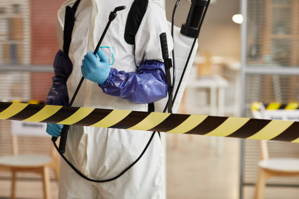 Professional Hoarding Cleanup technician working in Leavenworth, WA